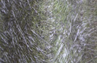 Alwoodley fibreglass roof work